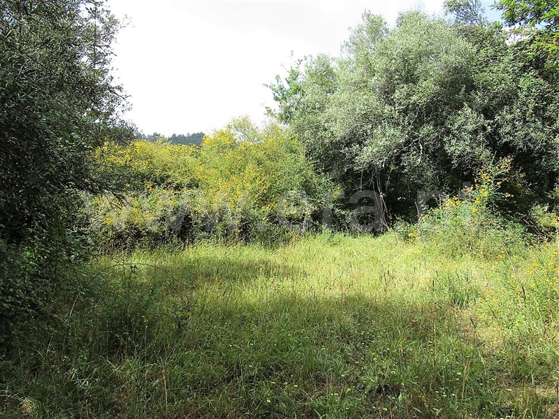 Terreno  Póvoa de Lanhoso, Calvos e Frades - 955036 - 4