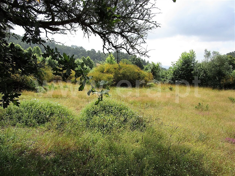 Terreno  Póvoa de Lanhoso, Calvos e Frades - 955036 - 7