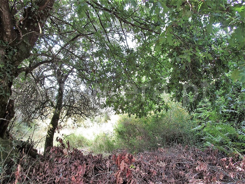 Terreno  Póvoa de Lanhoso, Calvos e Frades - 955036 - 8