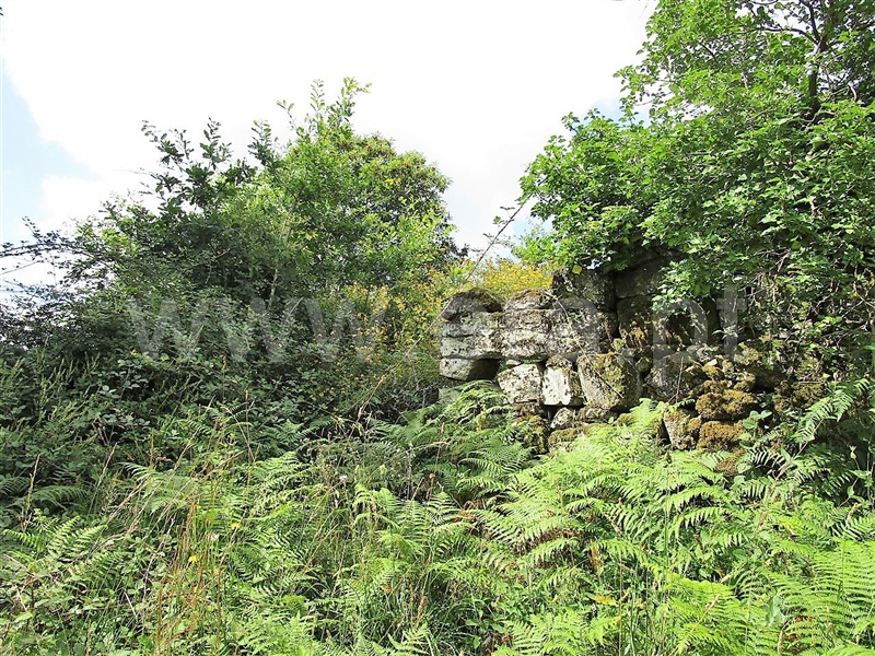Terreno  Póvoa de Lanhoso, Calvos e Frades - 955036 - 9
