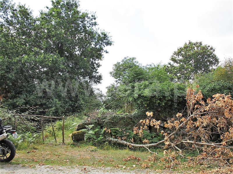 Terreno  Póvoa de Lanhoso, Calvos e Frades - 955036 - 11