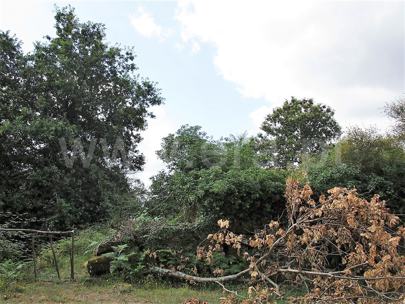 Terreno  Póvoa de Lanhoso, Calvos e Frades - 955036 - 12