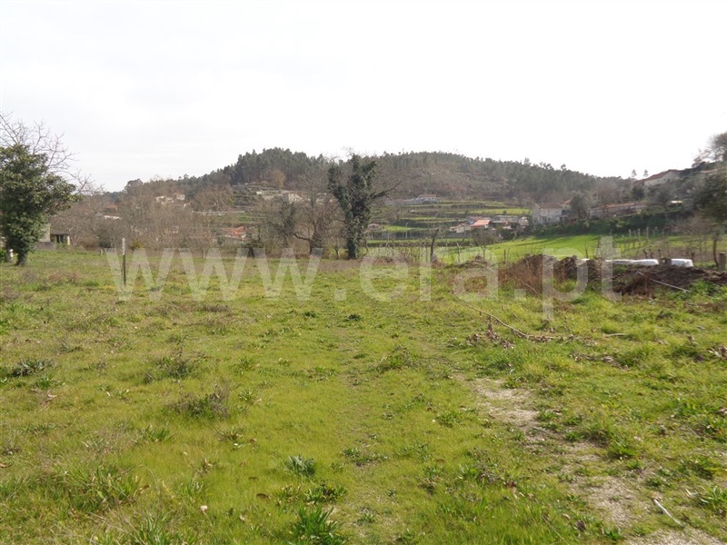 Terreno / Póvoa de Lanhoso, Calvos e Frades