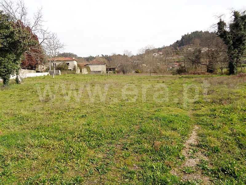 Terreno  Póvoa de Lanhoso, Frades - 987256 - 3