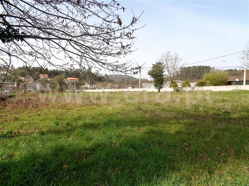 Terreno  Póvoa de Lanhoso, Frades - 987256 - 6