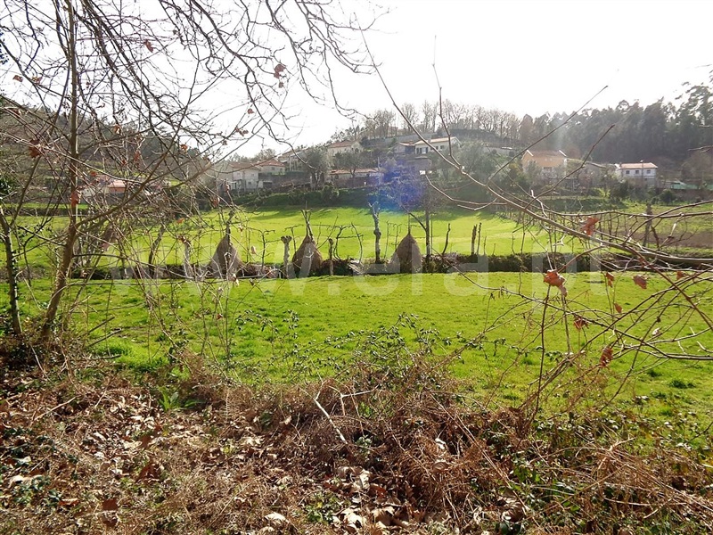 Terreno  Póvoa de Lanhoso, Frades - 987256 - 8