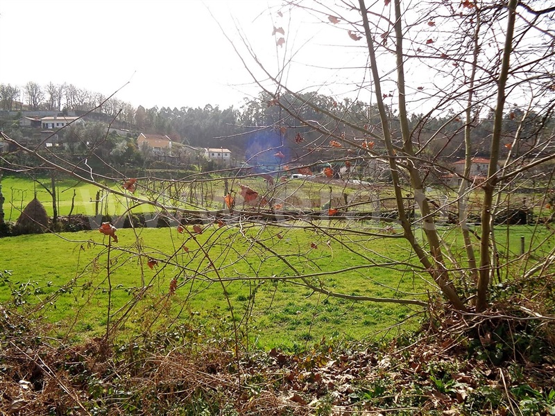 Terreno  Póvoa de Lanhoso, Frades - 987256 - 9