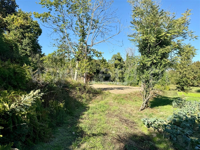 Terreno  Póvoa de Lanhoso, Campos e Louredo - 1506932 - 8