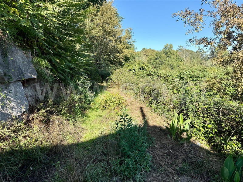 Terreno  Póvoa de Lanhoso, Campos e Louredo - 1506932 - 9