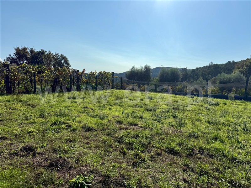 Terreno / Póvoa de Lanhoso, Campos e Louredo