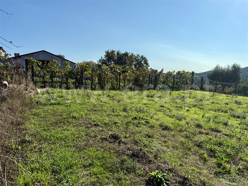 Terreno  Póvoa de Lanhoso, Campos e Louredo - 1506939 - 2