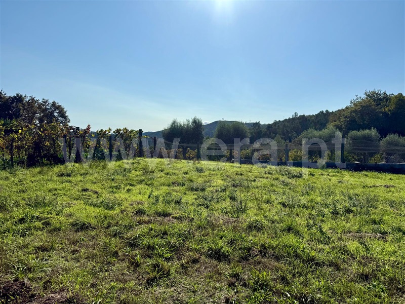 Terreno  Póvoa de Lanhoso, Campos e Louredo - 1506939 - 3