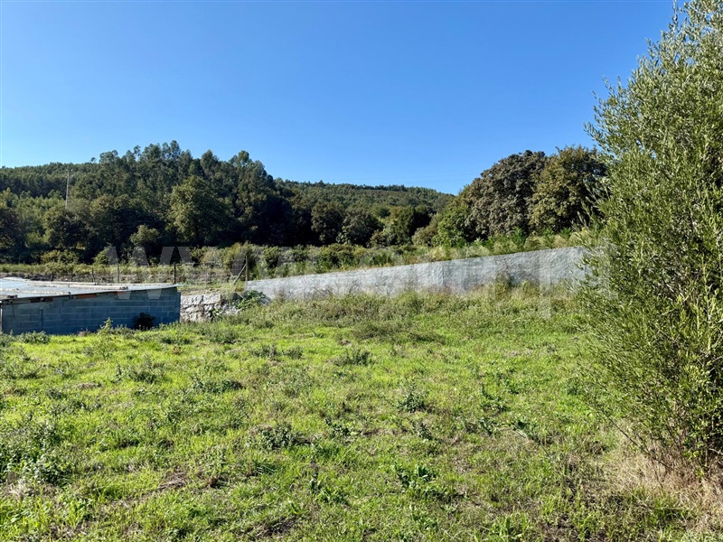 Terreno  Póvoa de Lanhoso, Campos e Louredo - 1506939 - 4