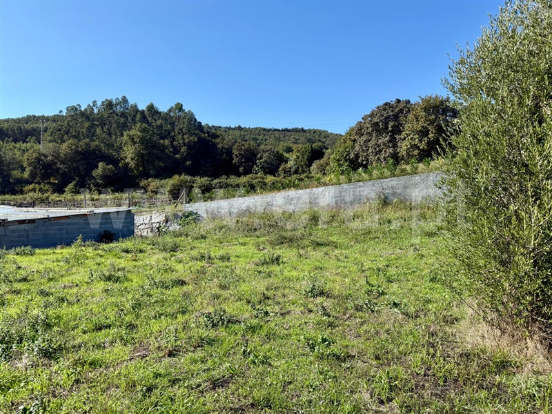 Terreno  Póvoa de Lanhoso, Campos e Louredo - 1506939 - 5