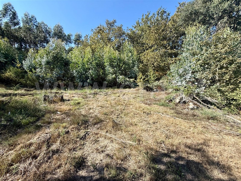 Terreno / Póvoa de Lanhoso, Campos e Louredo