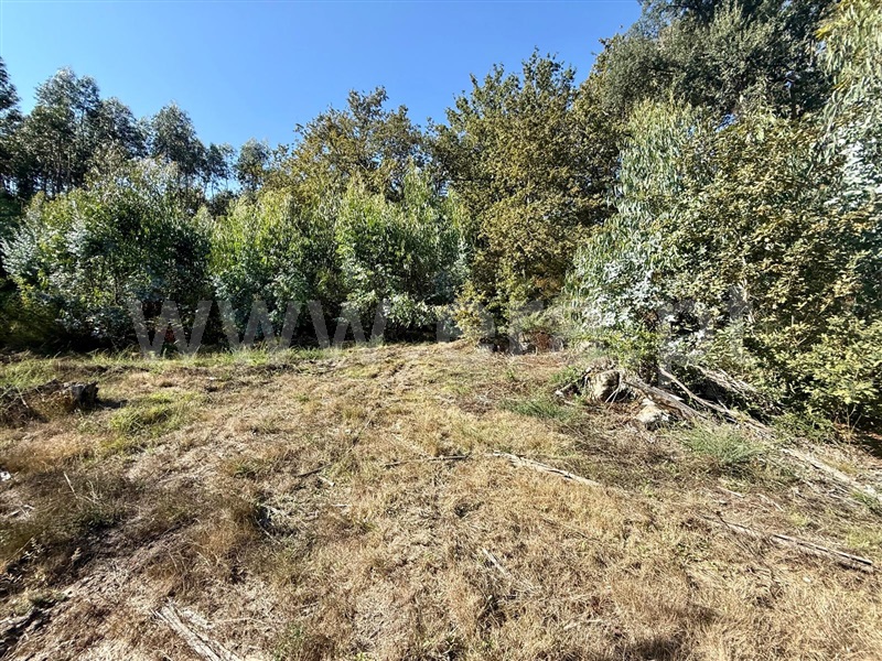 Terreno  Póvoa de Lanhoso, Campos e Louredo - 1506949 - 2