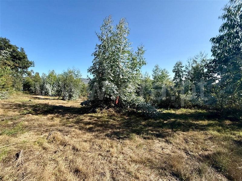 Terreno  Póvoa de Lanhoso, Campos e Louredo - 1506949 - 3