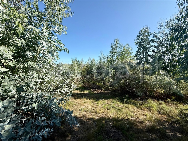 Terreno  Póvoa de Lanhoso, Campos e Louredo - 1506949 - 4