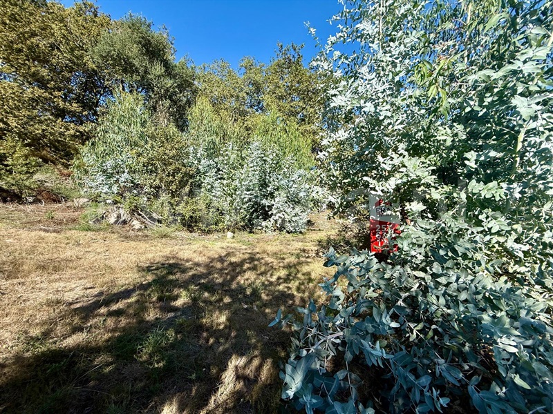 Terreno  Póvoa de Lanhoso, Campos e Louredo - 1506949 - 5
