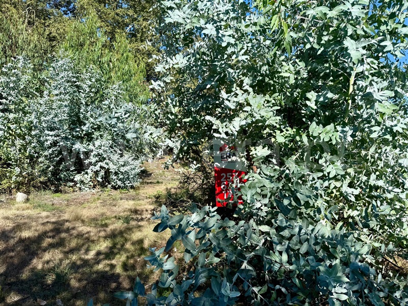 Terreno  Póvoa de Lanhoso, Campos e Louredo - 1506949 - 6