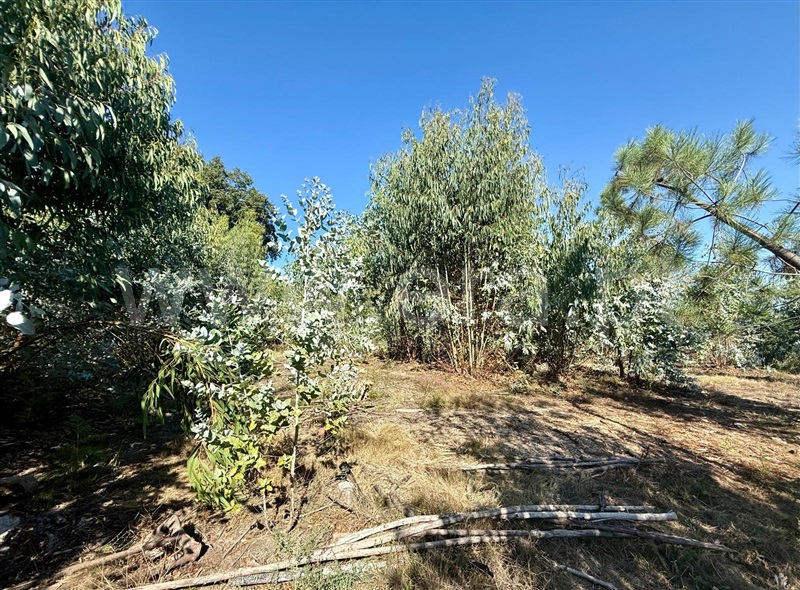 Terreno  Póvoa de Lanhoso, Campos e Louredo - 1506949 - 7