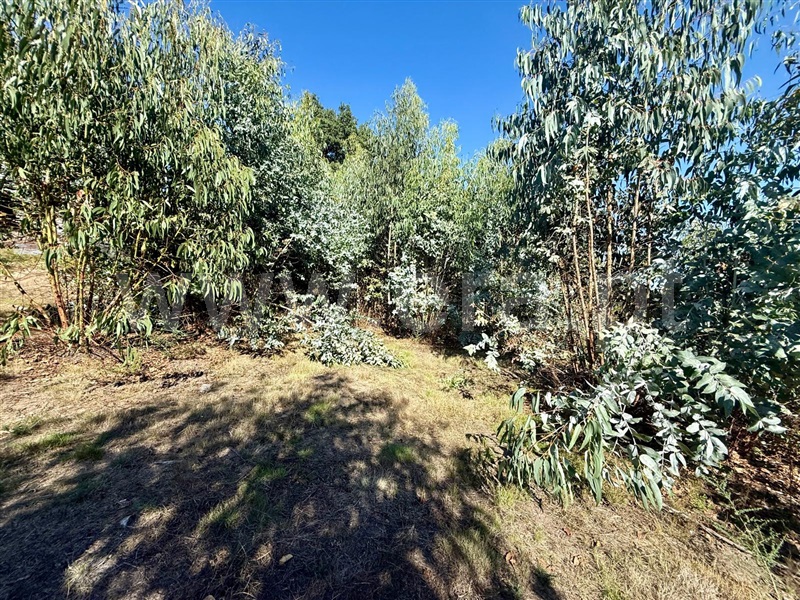 Terreno  Póvoa de Lanhoso, Campos e Louredo - 1506949 - 8