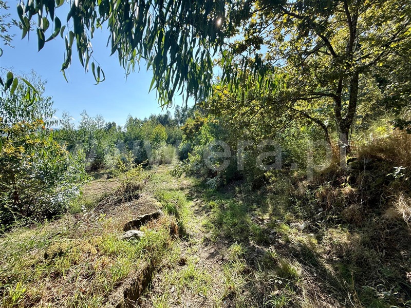 Terreno  Póvoa de Lanhoso, Campos e Louredo - 1506949 - 9