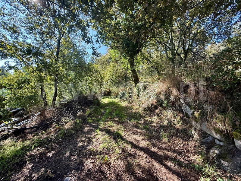 Terreno  Póvoa de Lanhoso, Campos e Louredo - 1506949 - 10