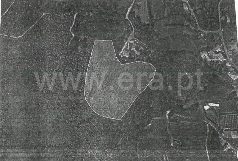Terreno  Póvoa de Lanhoso, Campos e Louredo - 1506949 - 11