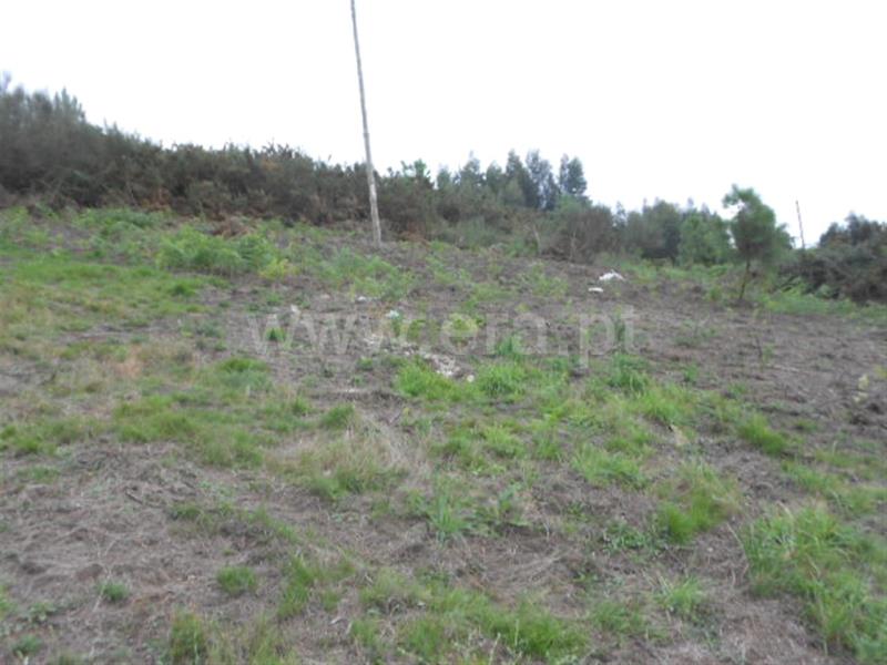Terreno  Póvoa de Lanhoso, Covelas - 588530 - 2