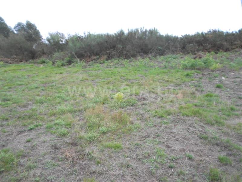 Terreno  Póvoa de Lanhoso, Covelas - 588530 - 3