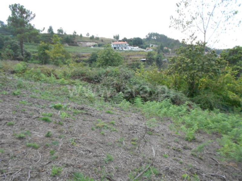 Terreno  Póvoa de Lanhoso, Covelas - 588530 - 5