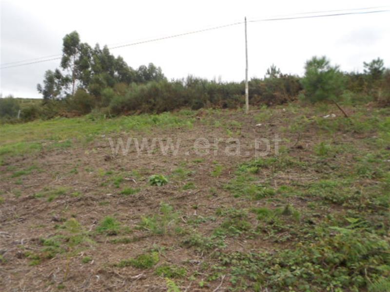 Terreno  Póvoa de Lanhoso, Covelas - 588530 - 6