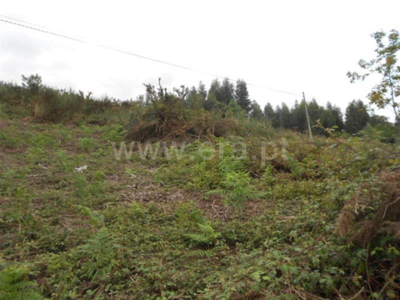 Terreno / Póvoa de Lanhoso, Covelas