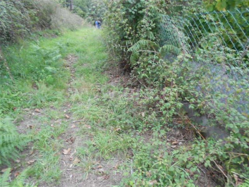 Terreno  Póvoa de Lanhoso, Covelas - 588530 - 10