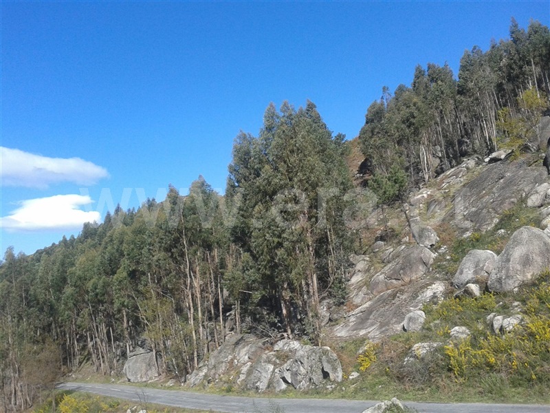 Terreno / Póvoa de Lanhoso, Esperança e Brunhais