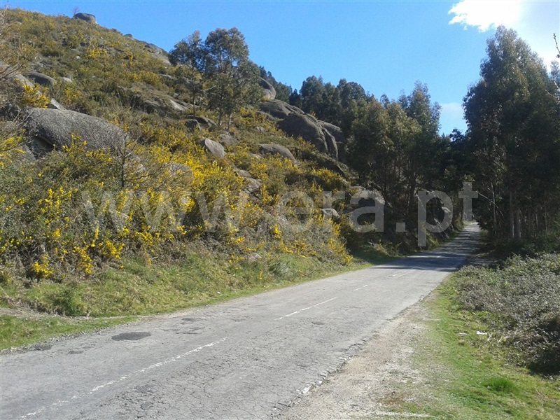 Terreno  Póvoa de Lanhoso, Esperança e Brunhais - 672090 - 3