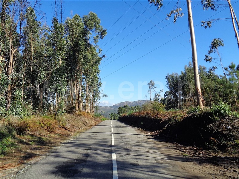 Terreno  Póvoa de Lanhoso, Ferreiros - 959582 - 3