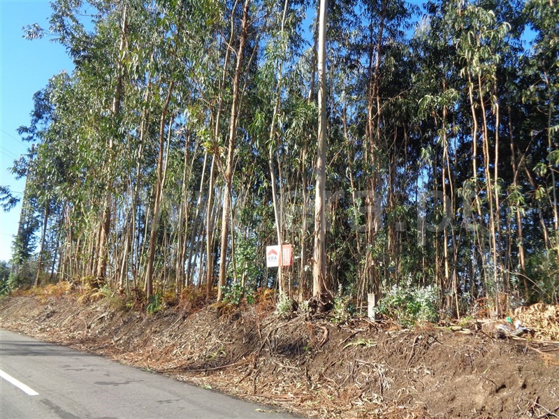 Terreno / Póvoa de Lanhoso, Ferreiros