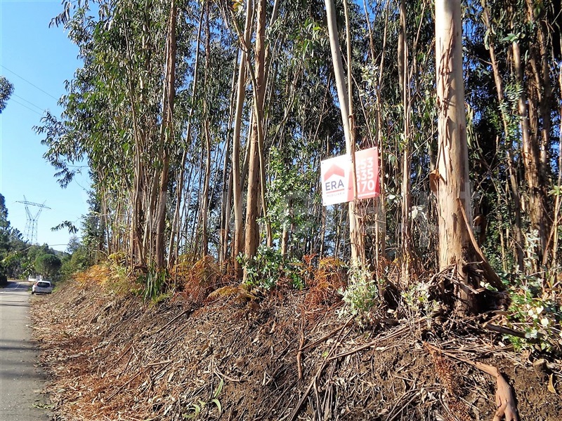 Terreno  Póvoa de Lanhoso, Ferreiros - 959582 - 4