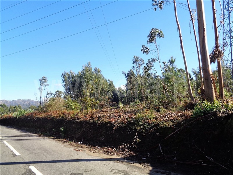 Terreno  Póvoa de Lanhoso, Ferreiros - 959582 - 8