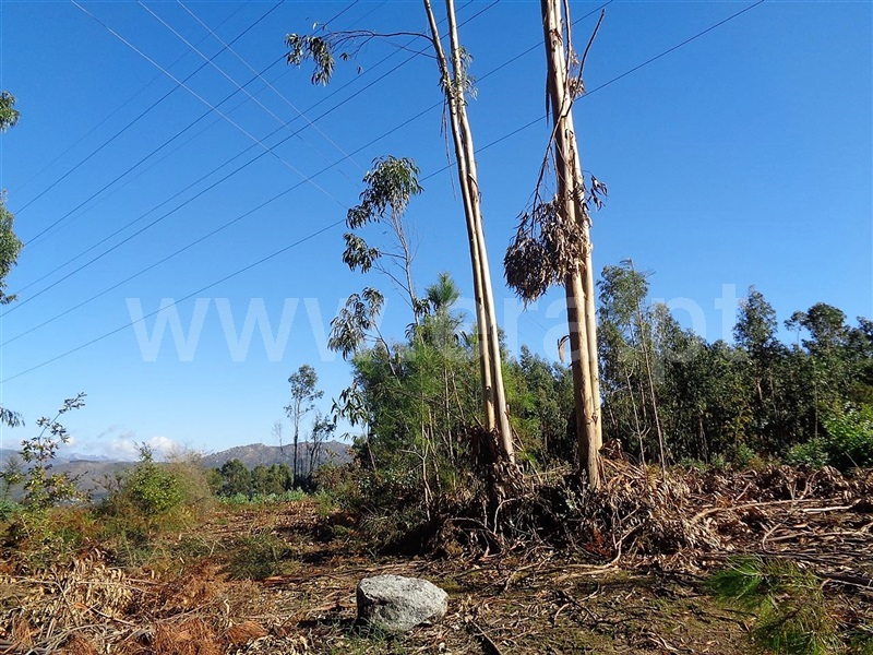Terreno  Póvoa de Lanhoso, Ferreiros - 959582 - 9