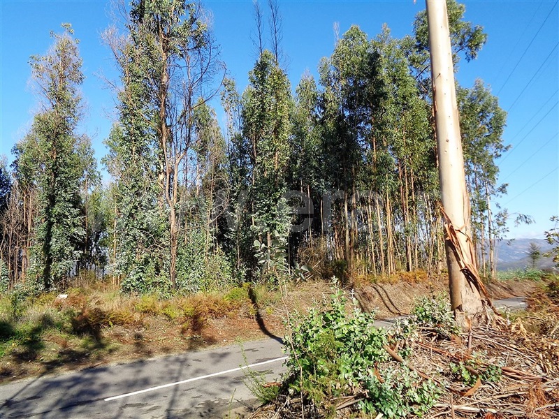 Terreno  Póvoa de Lanhoso, Ferreiros - 959582 - 10