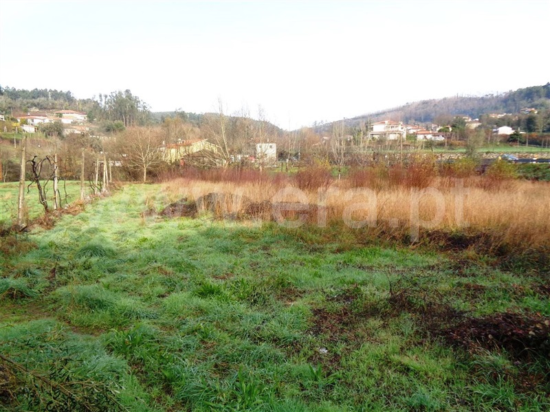 Terreno / Póvoa de Lanhoso, Fonte Arcada e Oliveira