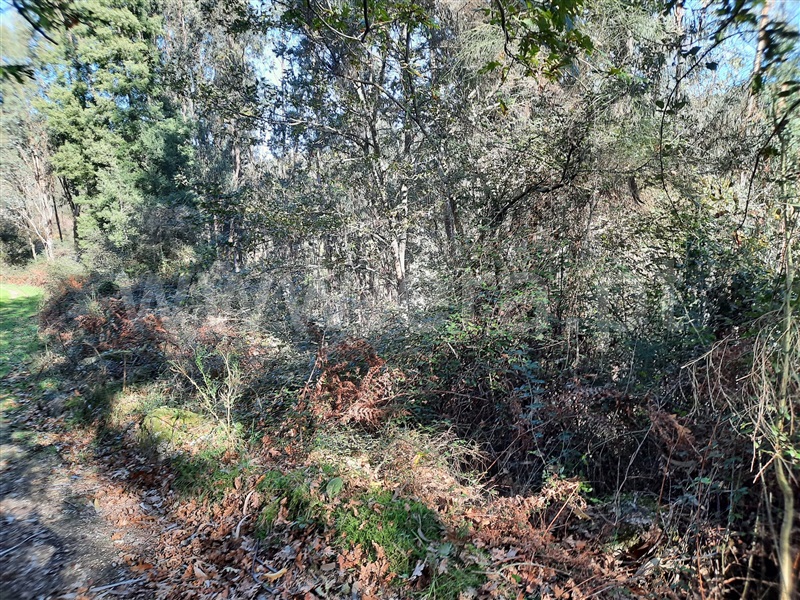 Terreno  Póvoa de Lanhoso, Fonte Arcada e Oliveira - 1399350 - 2