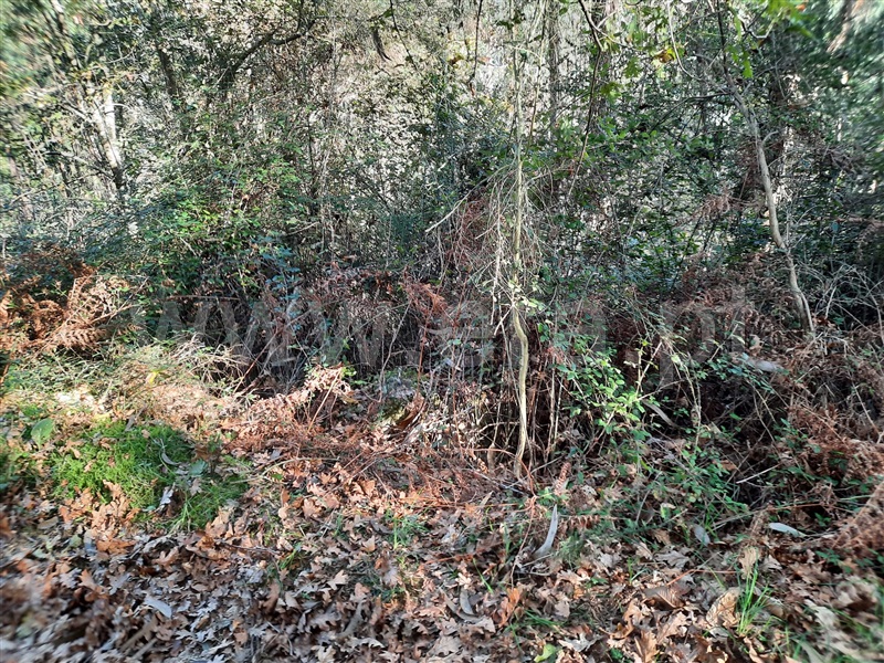 Terreno  Póvoa de Lanhoso, Fonte Arcada e Oliveira - 1399350 - 3
