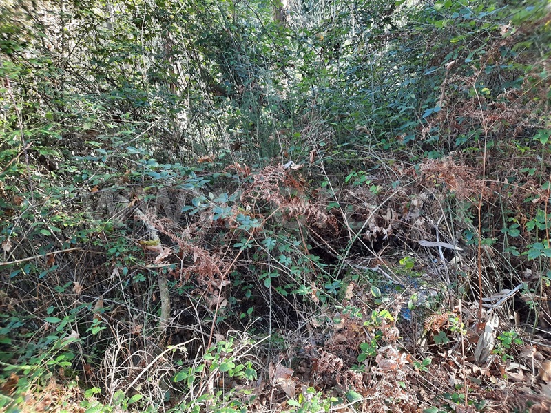 Terreno  Póvoa de Lanhoso, Fonte Arcada e Oliveira - 1399350 - 5