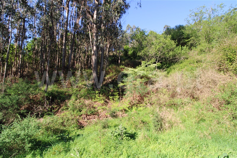 Terreno  Póvoa de Lanhoso, Fonte Arcada e Oliveira - 1399350 - 8
