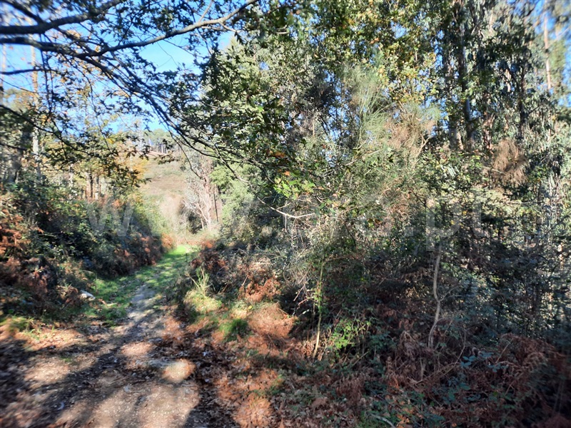 Terreno  Póvoa de Lanhoso, Fonte Arcada e Oliveira - 1399350 - 10