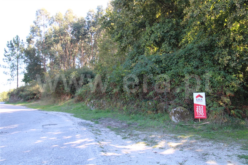Terreno / Póvoa de Lanhoso, Fonte Arcada e Oliveira